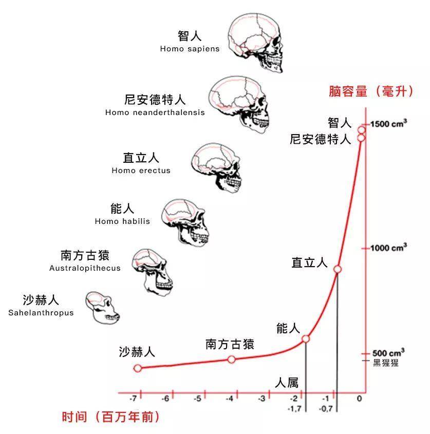 根据达尔文的进化论,我们知道人是由其他生物演化而来的,而这个生物就