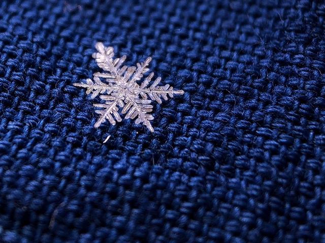 手机也能拍出雪花大特写,快来感受一下吧!_人民号