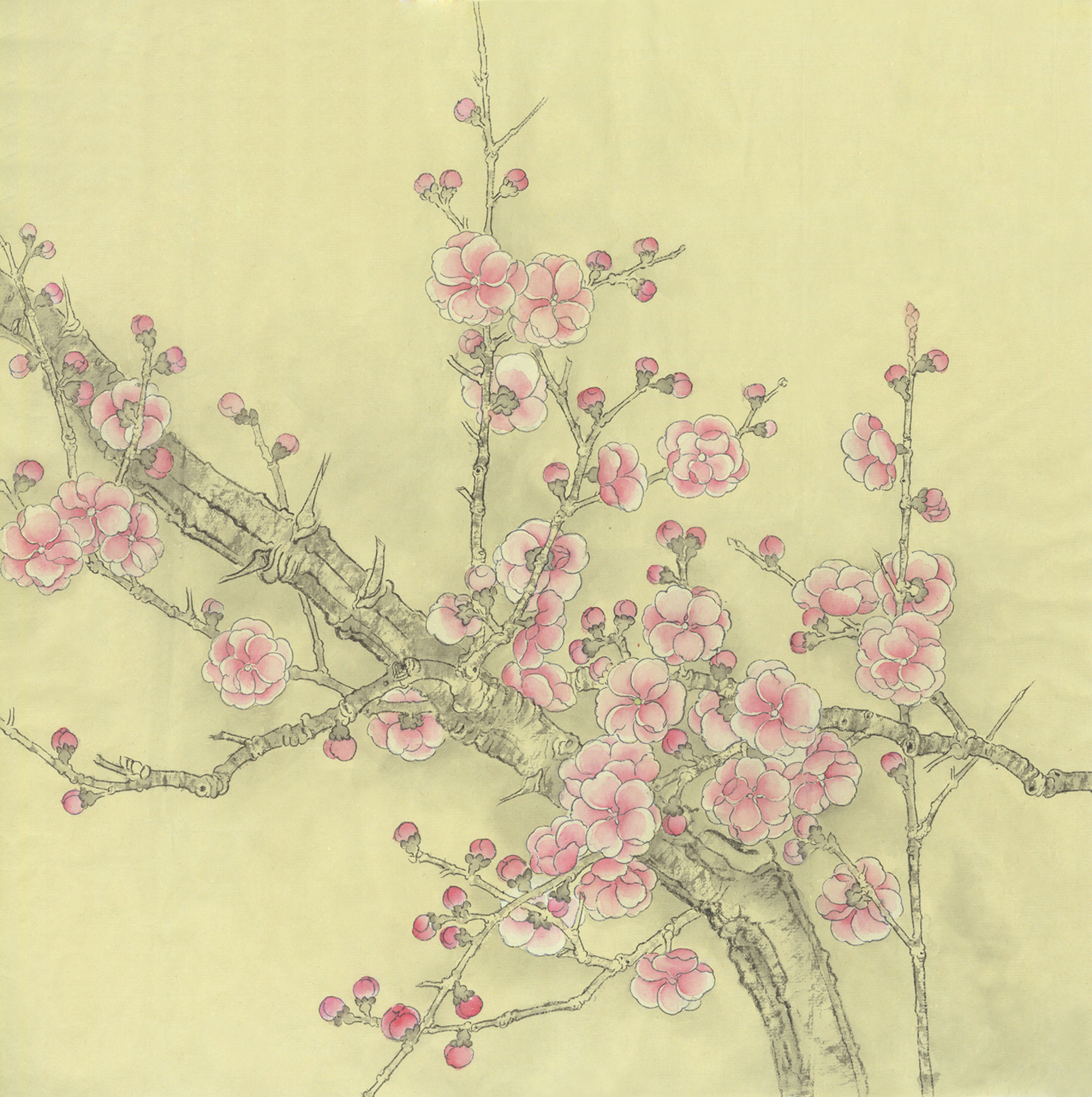 梅花,海棠花的绘制步骤