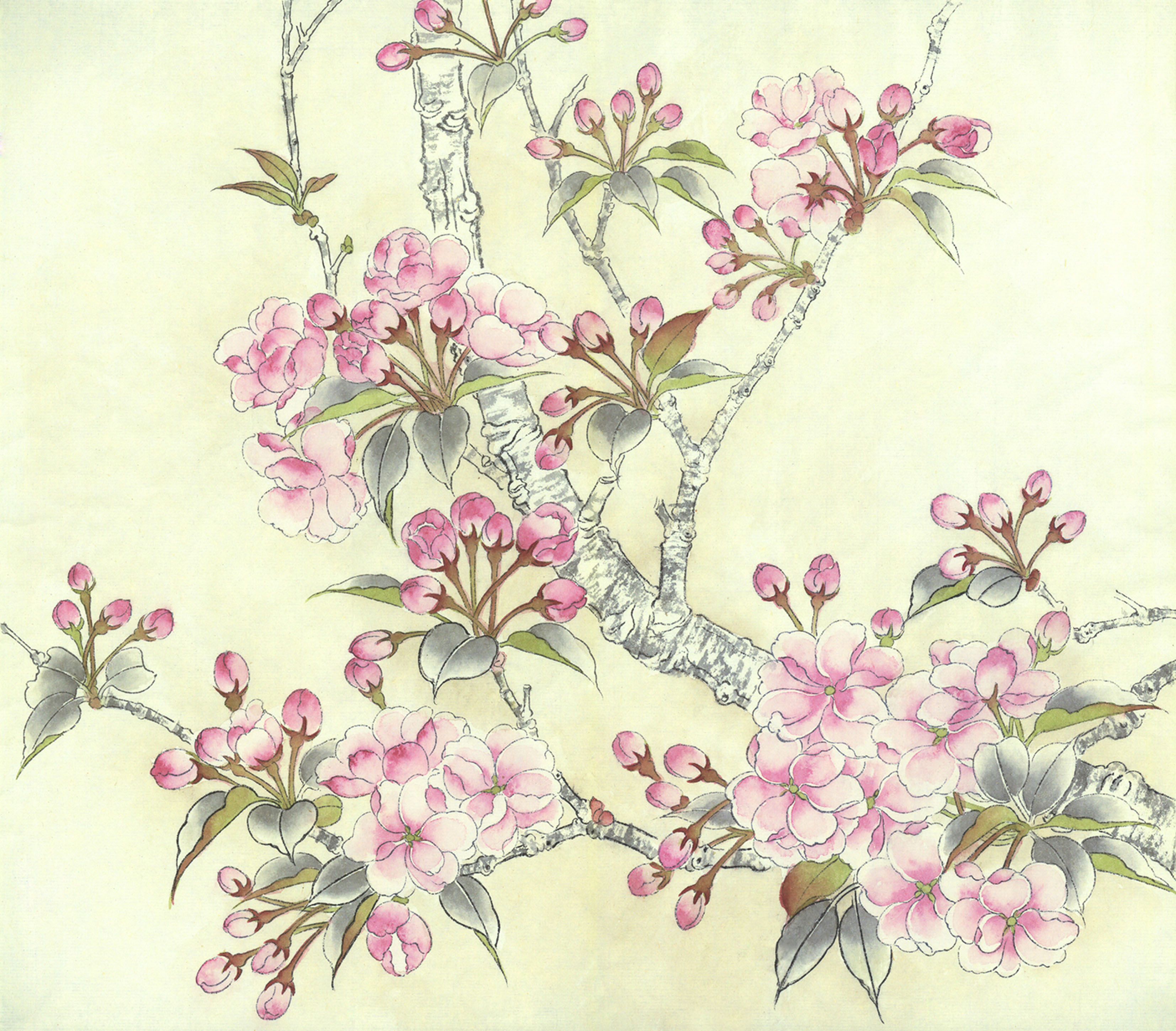 一从梅粉褪残妆,涂抹新红上海棠.梅花,海棠花的绘制步骤