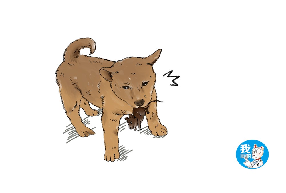 远看土狗叼着活物跑来女子正要高兴凑近一瞧脸沉了下来