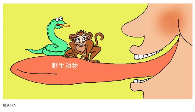 未来网■给孩子的战“疫”漫画｜疫情的开始，是“病从口入”