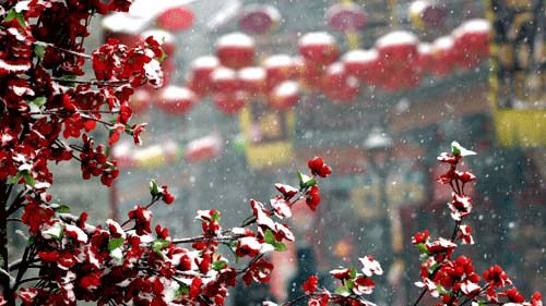 #中国教育报#今日元宵，咱们不闹！带孩子一起看这些诗歌习俗，祈福平安