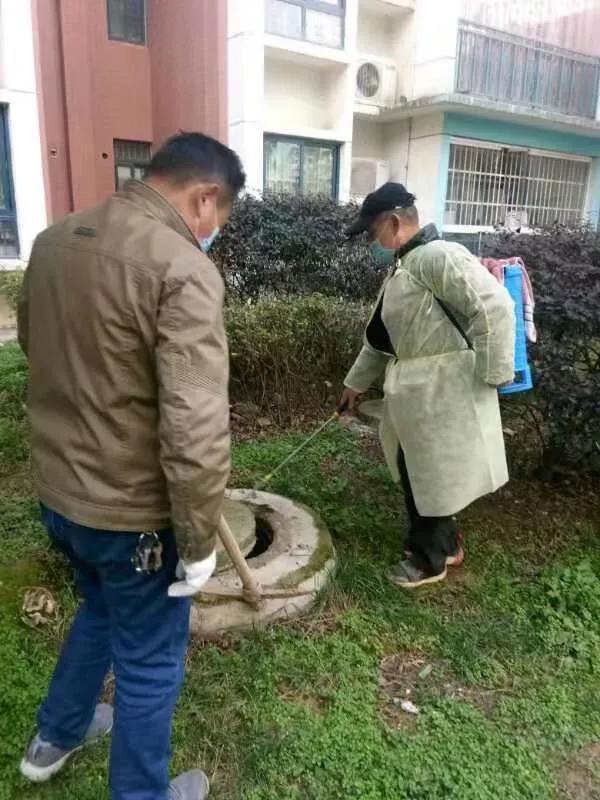 中国教育报■团购了蔬菜怎么去拿最安全有序？武汉这个小区的“领菜攻略”火了