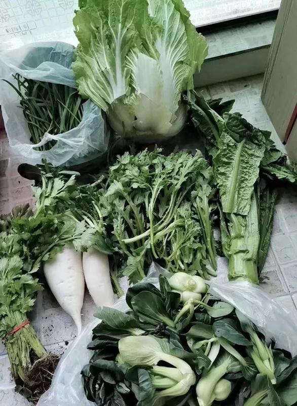 中国教育报■团购了蔬菜怎么去拿最安全有序？武汉这个小区的“领菜攻略”火了