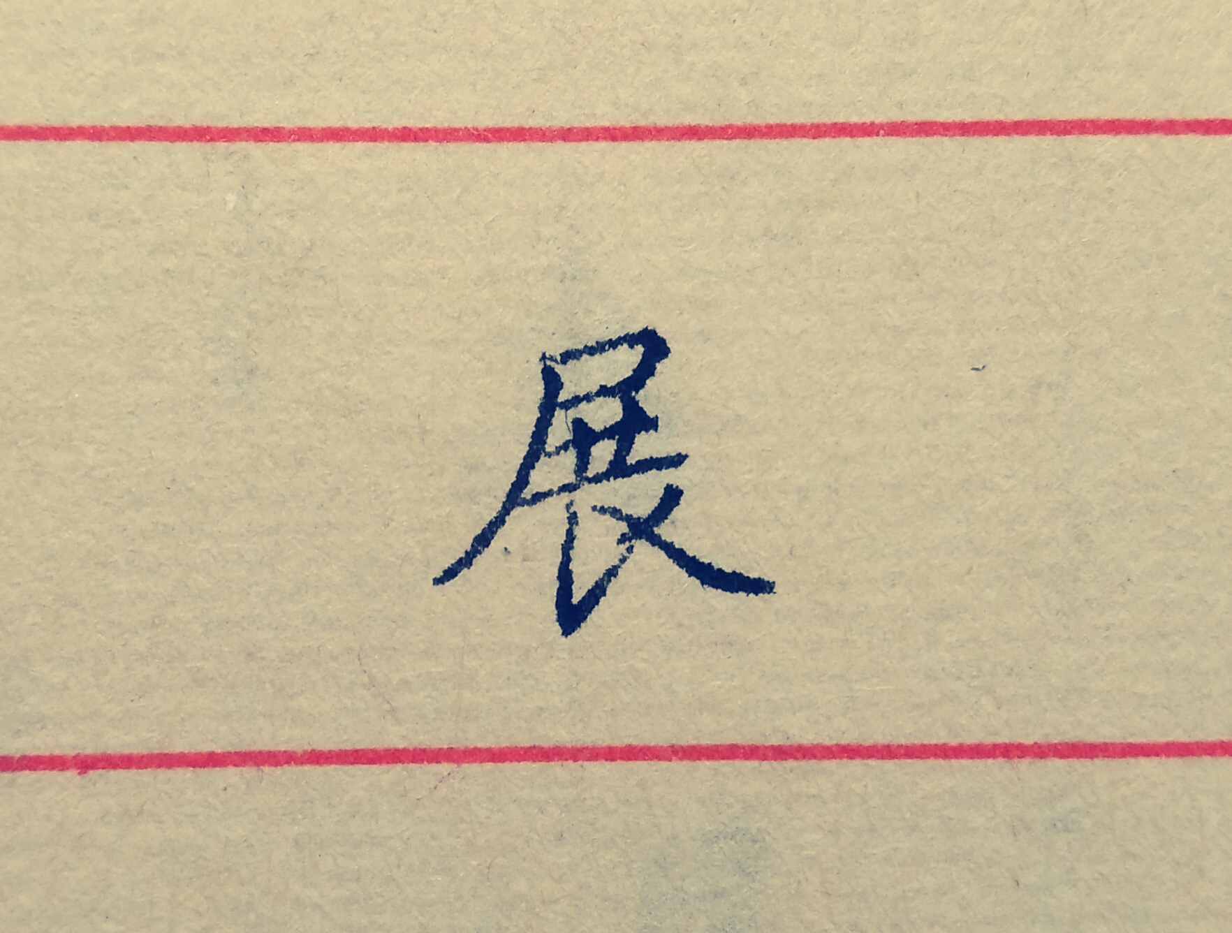 展字