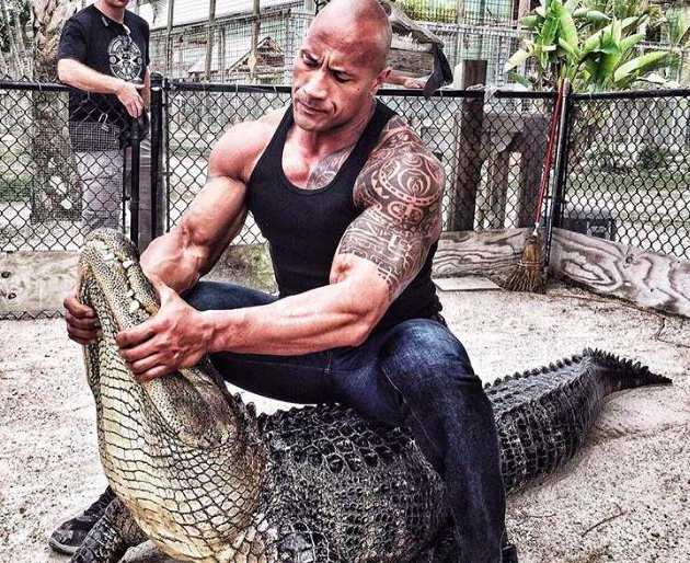 从wwe到好莱坞巨石这身肌肉很关键但每天吃7餐一般人做不到