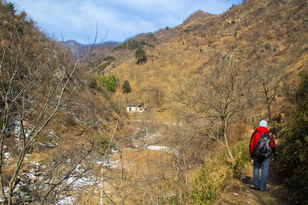 秦岭人文故事|雪晴墟里竹欹斜,蜡屐徐吟到陆家—寻访梨园村