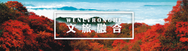 「恒旅网」抗“疫”漫画｜细胞战斗实录！新冠肺炎原来是这样被治愈的