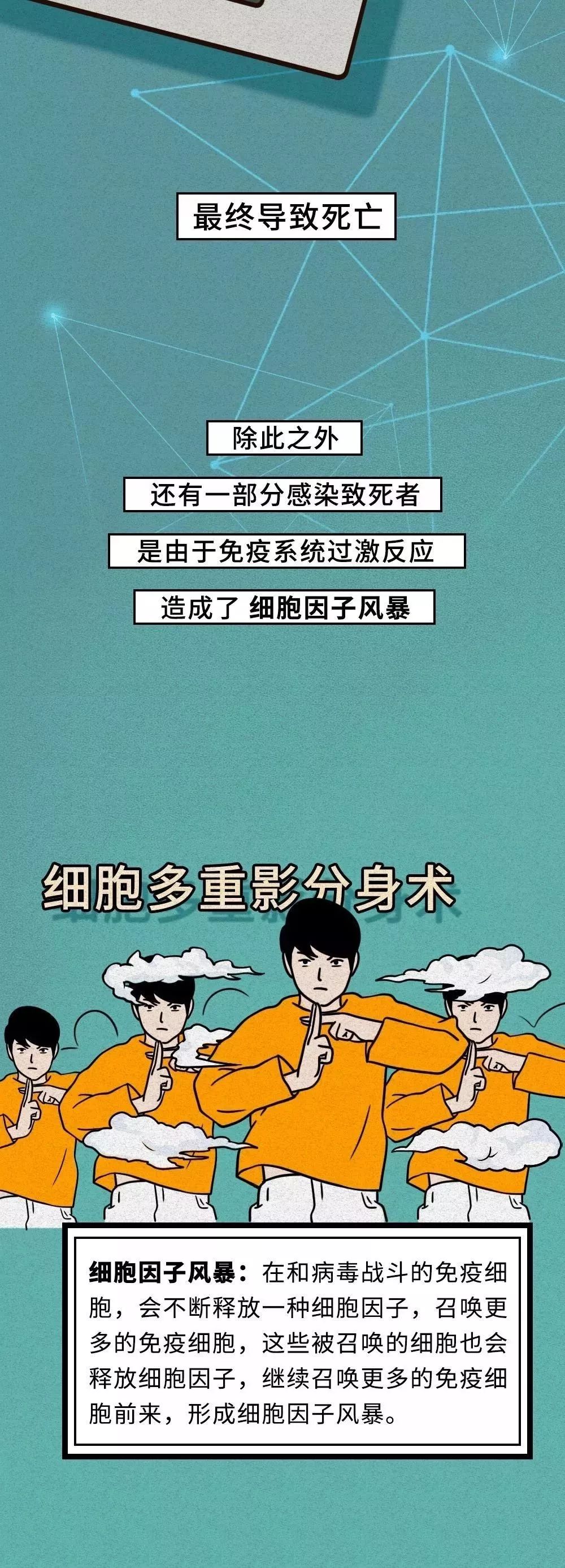 「恒旅网」抗“疫”漫画｜细胞战斗实录！新冠肺炎原来是这样被治愈的