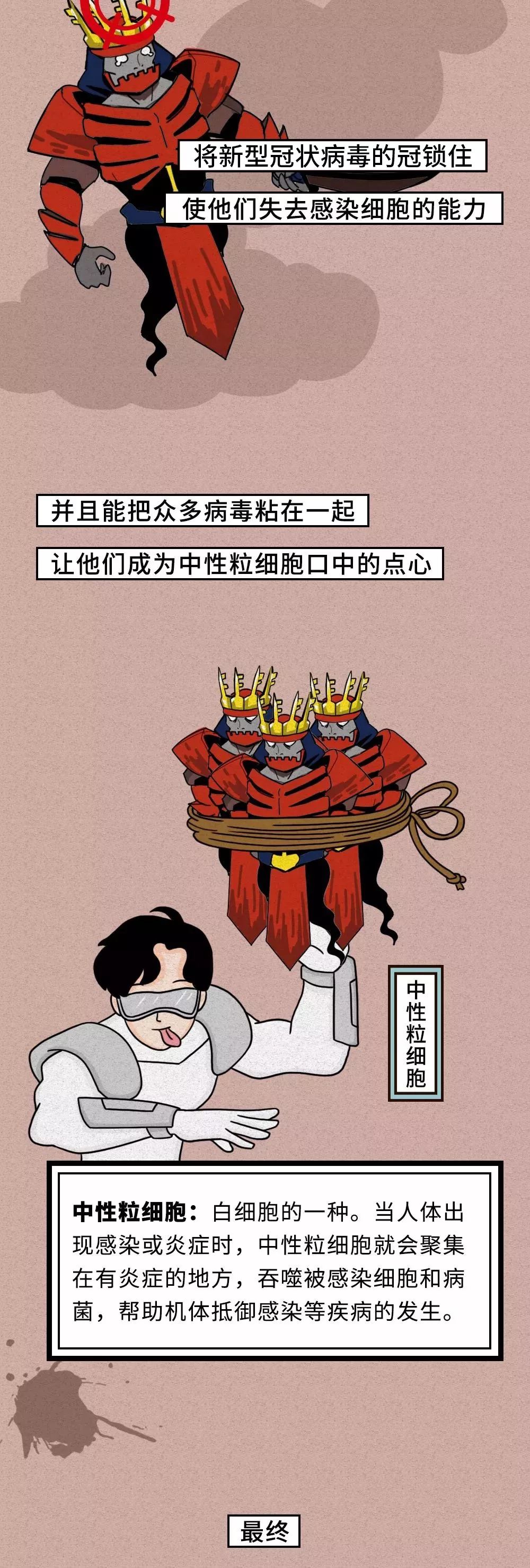 「恒旅网」抗“疫”漫画｜细胞战斗实录！新冠肺炎原来是这样被治愈的