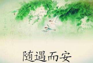 顺其自然勤努力随遇而安才能过好平淡日