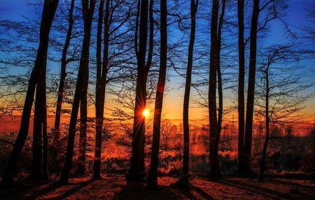 中国小康网：疫情面前显大爱，民警收到1500元钱，放在手里格外“沉重”