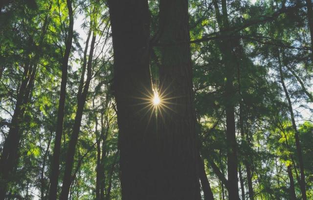 中国小康网：疫情面前显大爱，民警收到1500元钱，放在手里格外“沉重”