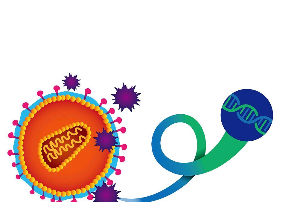 一个普通中国人的新冠肺炎病毒观