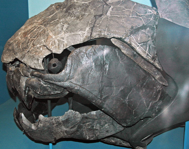 【科学信仰】宇宙并不平静，但地球却拥有30多亿年的稳定进化环境，多么有趣