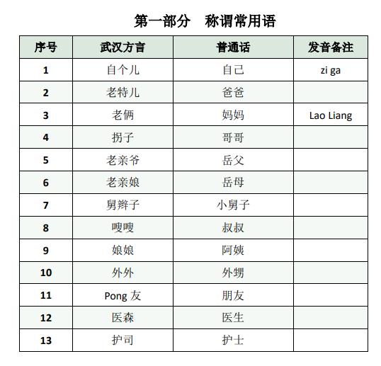「西安日报」学霸医疗队出手！这本武汉方言手册火了！网友留言亮了