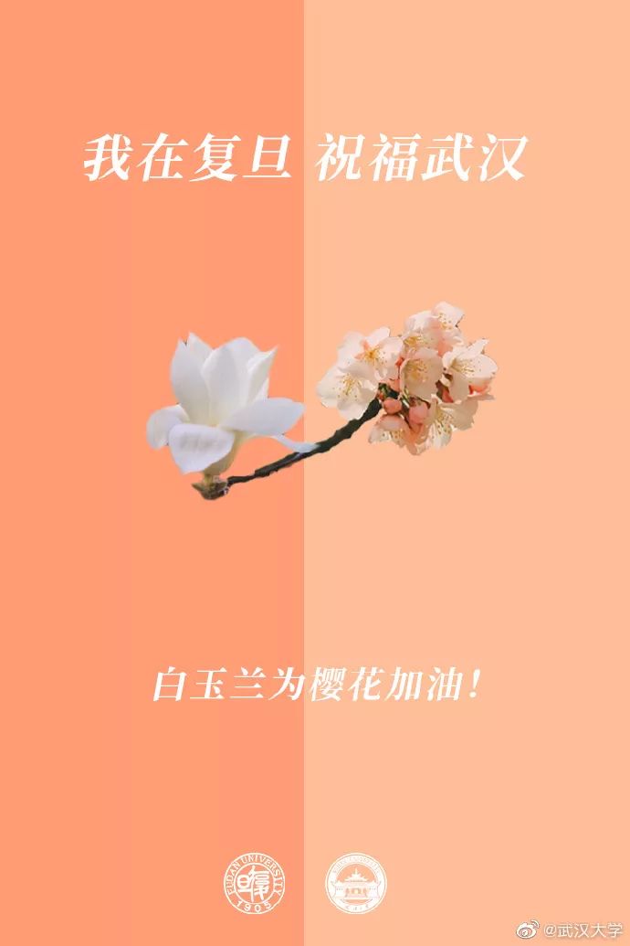 「人民日报」校花送祝福！春天总会到来，珞珈樱花会照常盛开
