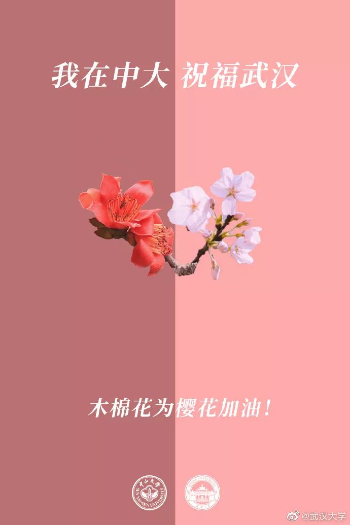 「人民日报」校花送祝福！春天总会到来，珞珈樱花会照常盛开