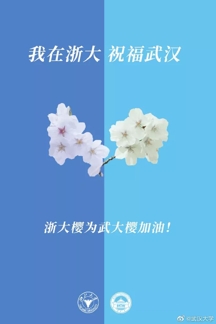 「人民日报」校花送祝福！春天总会到来，珞珈樱花会照常盛开