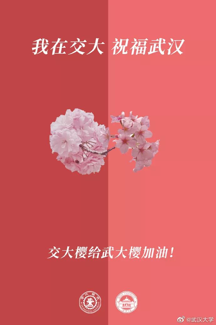 「人民日报」校花送祝福！春天总会到来，珞珈樱花会照常盛开