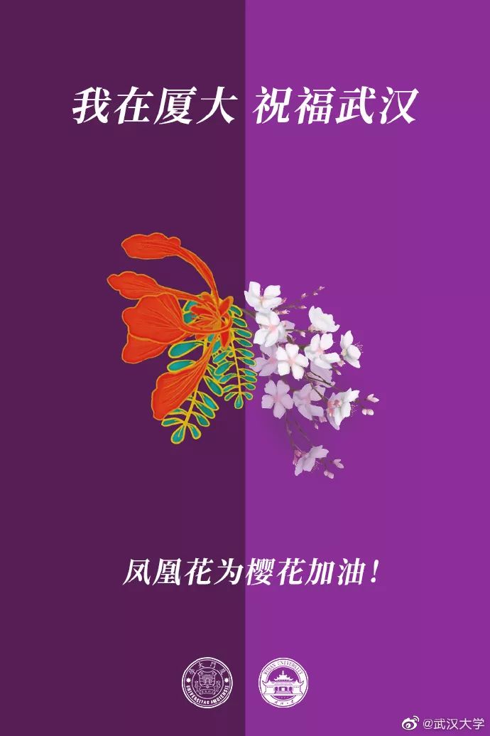 「人民日报」校花送祝福！春天总会到来，珞珈樱花会照常盛开