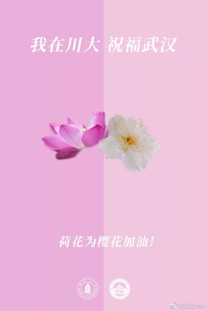 「人民日报」校花送祝福！春天总会到来，珞珈樱花会照常盛开