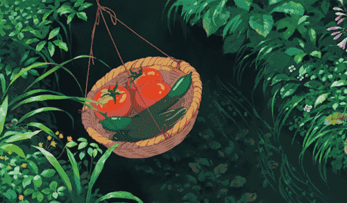 「楚天都市报」出门买一次蔬菜，这样保鲜可以放上一个月