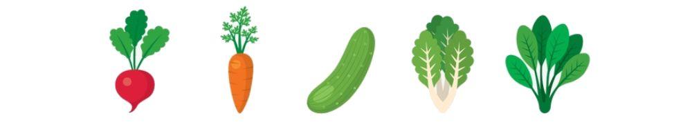 「楚天都市报」出门买一次蔬菜，这样保鲜可以放上一个月