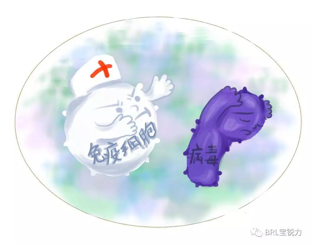 「武汉金银潭院长:新冠肺炎是自限性疾病!」免疫力强才是王道