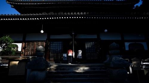 「中国小康网」法媒：日本母子玩放鸽子 订房3200次不入住诈骗返利点数