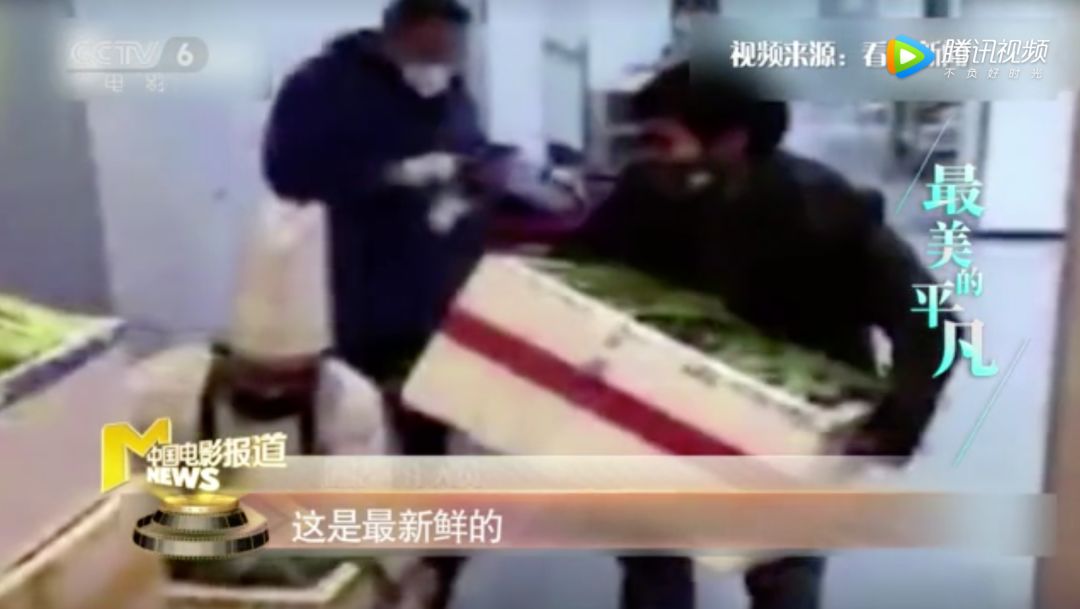 「CCTV6电影频道」生活永远比电影更精彩｜菜农秦大安：寻路40公里，只想给援鄂医疗队送菜