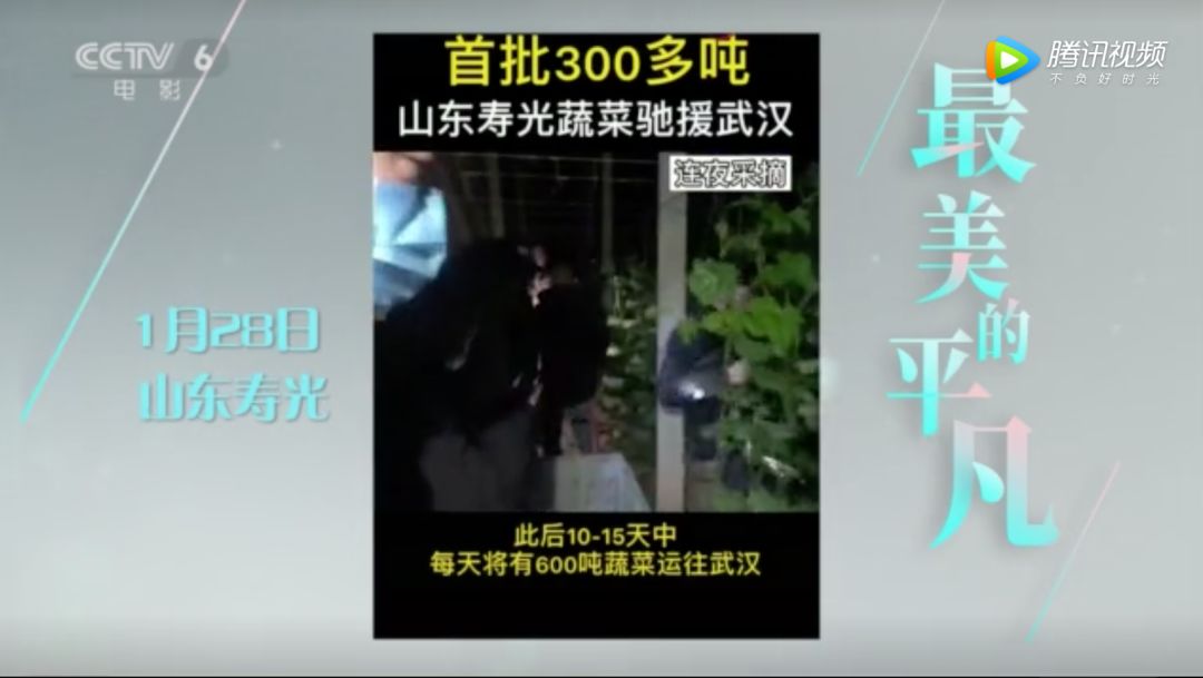 「CCTV6电影频道」生活永远比电影更精彩｜菜农秦大安：寻路40公里，只想给援鄂医疗队送菜