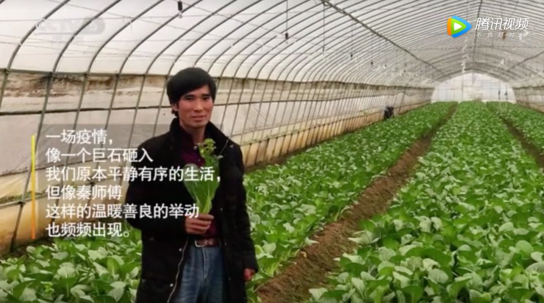 「CCTV6电影频道」生活永远比电影更精彩｜菜农秦大安：寻路40公里，只想给援鄂医疗队送菜