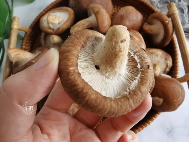 清水洗香菇相当于没洗教你1招脏东西小虫子乖乖溜走