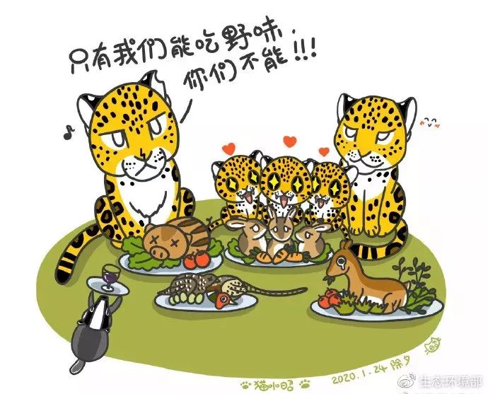 生态环境部■战“疫”前线?｜一线战“疫”背后，公益力量的光与热