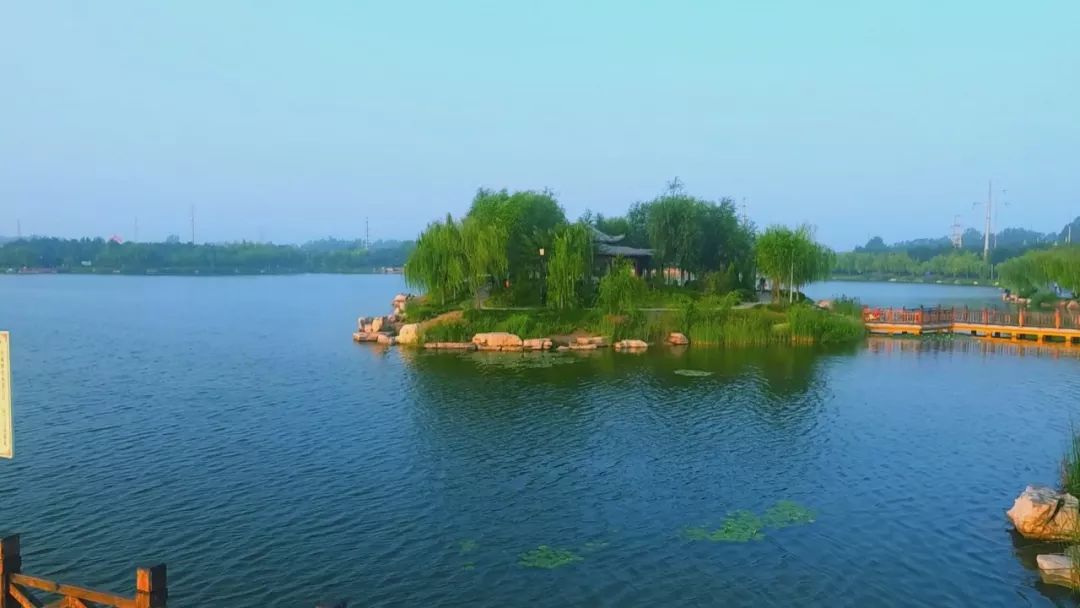 阳谷金水湖公园图片