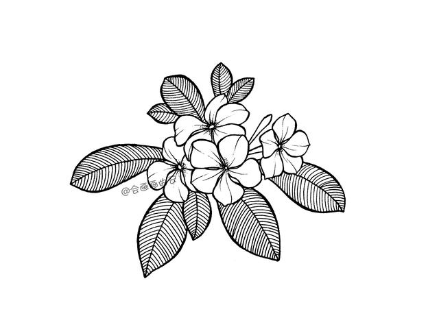 画画太难不急不躁画完这波你的线描可以入门了