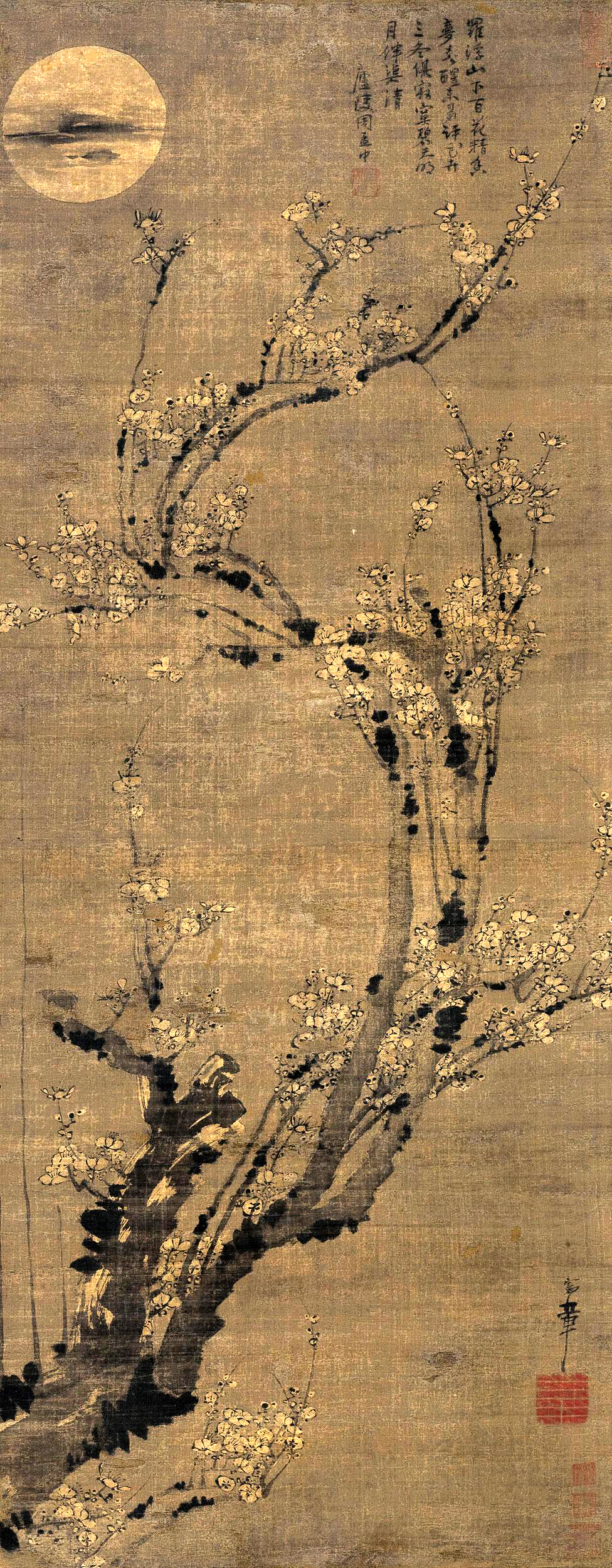 明 陈录 月影暗香图 存疑为真