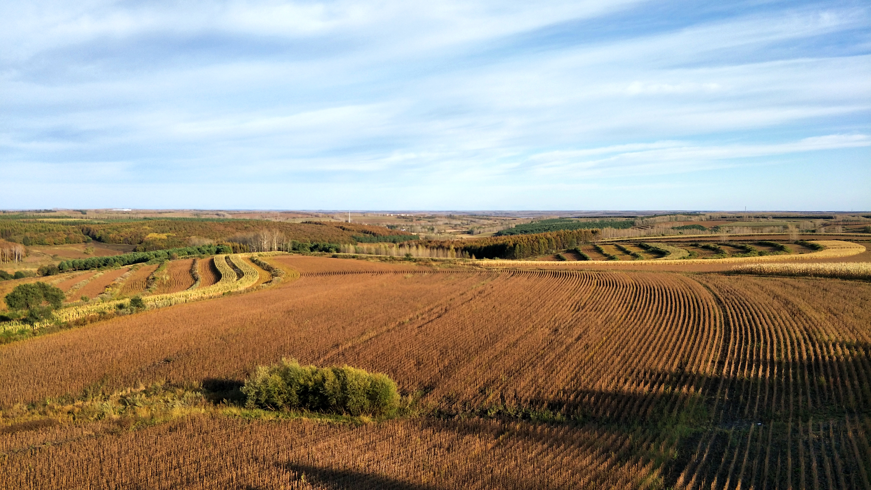 「布衣游记」拜泉小流域手机随拍