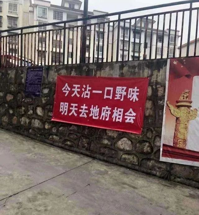 抗疫功臣硬核标语背后的复杂真相