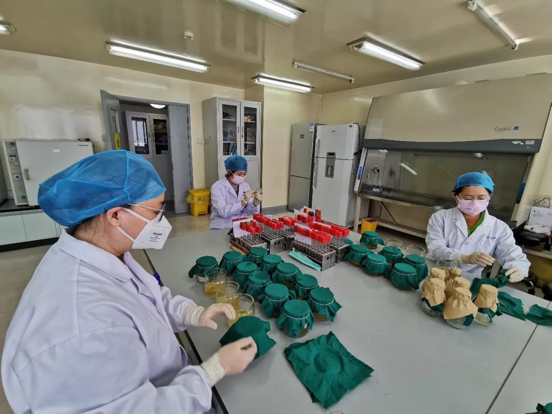 [中国疾控中心]战“疫”刻不容缓 消毒中心冲锋在先