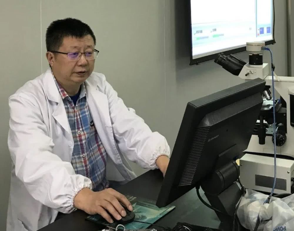 新冠肺炎遗体解剖取得重要发现病毒或有损免疫系统