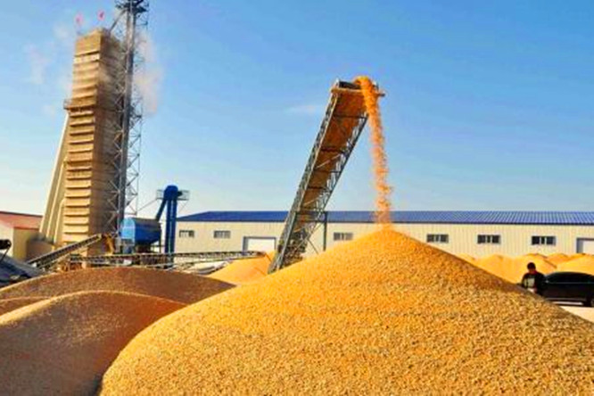 粮食批发利润大不大的原因是什么