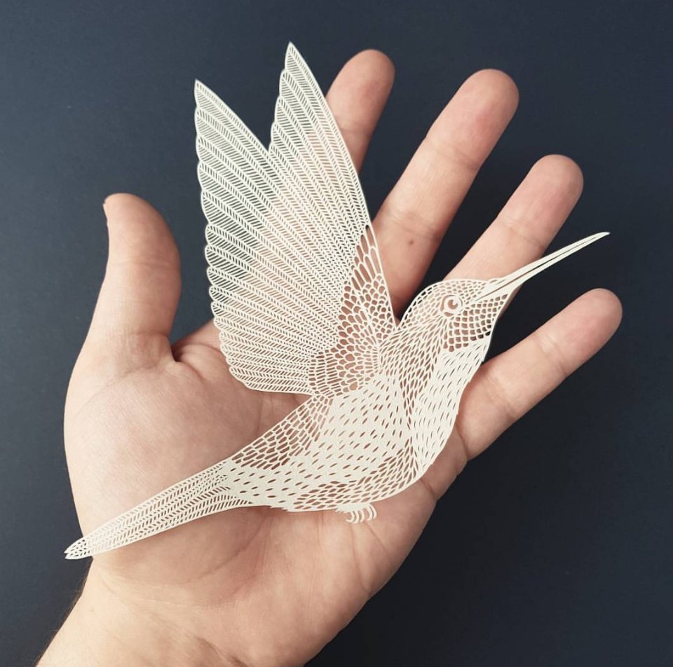 英国雕刻艺术家pippadyrlaga的刻纸作品花纹复杂薄如蝉翼