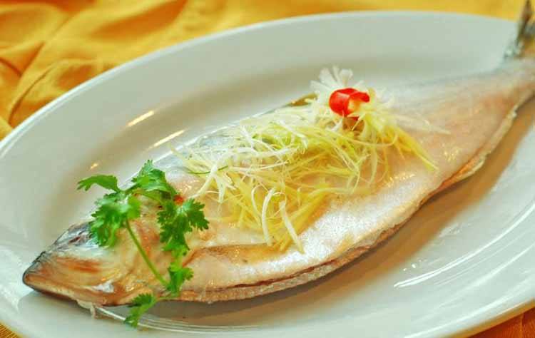 豉油皇焗白鸽鱼:白鸽鱼生长在如斗门五山区域这样咸淡水交界的江河