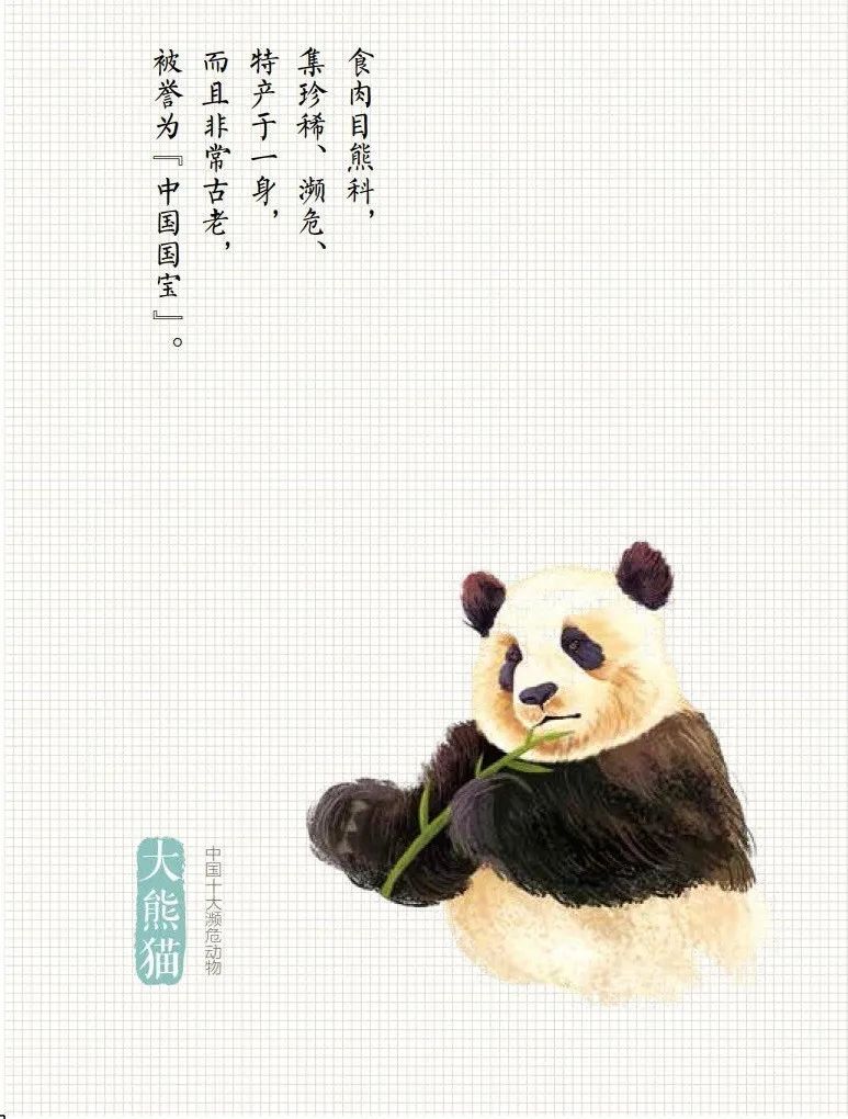 「生态环境部」公民十条｜保护野生动物，守护多样之美（环保科普365）