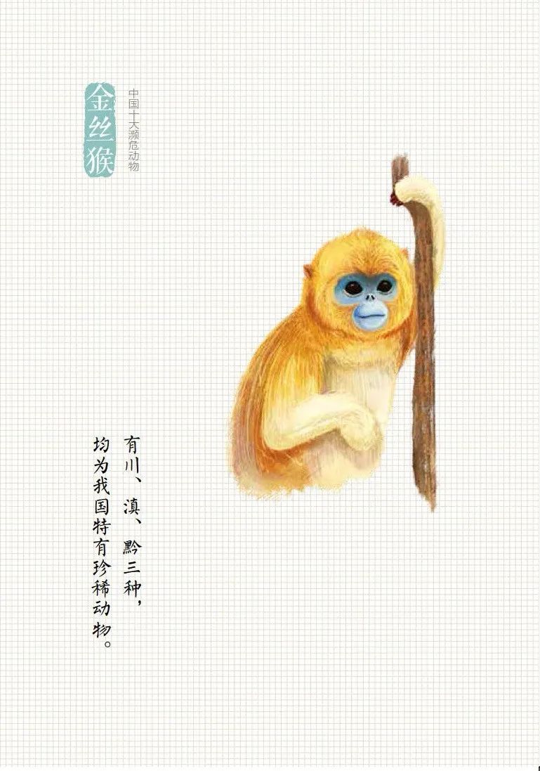 「生态环境部」公民十条｜保护野生动物，守护多样之美（环保科普365）