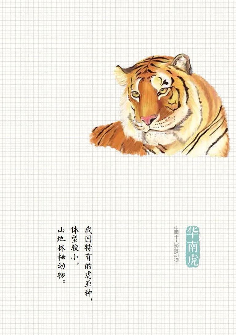 「生态环境部」公民十条｜保护野生动物，守护多样之美（环保科普365）