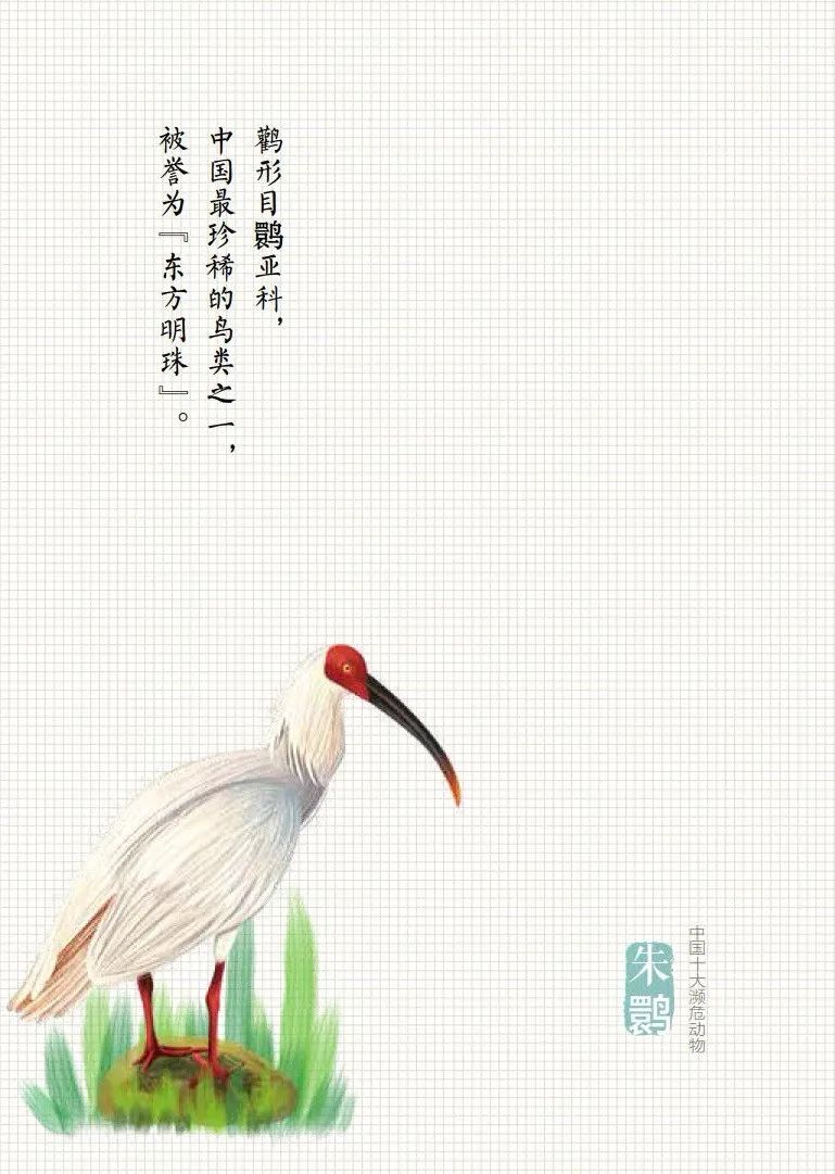 「生态环境部」公民十条｜保护野生动物，守护多样之美（环保科普365）